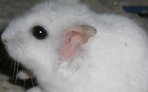 p3090011.jpg p3090011.jpg