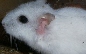 p3090013.jpg p3090013.jpg