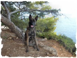 fame26.JPG fame26.JPG