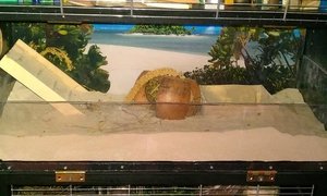 Etage oben offen.jpg