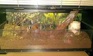 Etage unten offen.jpg