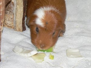 P1110806.JPG P1110806.JPG