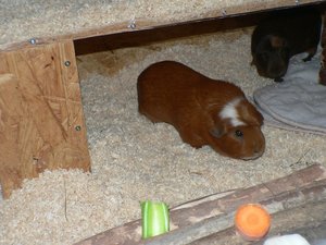 P1110819.JPG P1110819.JPG