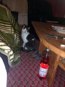 PicsArt_1331498254999.jpg PicsArt_1331498254999.jpg