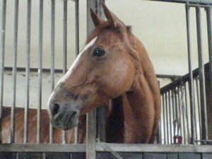 DSC00031.JPG DSC00031.JPG