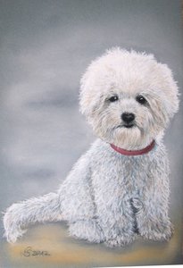 img_8759s1kzn.jpg img_8759s1kzn.jpg