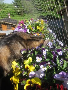 6538633837316266.jpg 6538633837316266.jpg