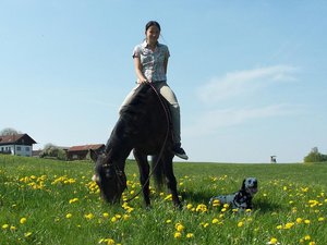 mit mei nem hund.jpg