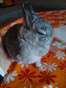 DSC00931 (480x640).jpg