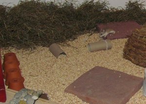 K800_Sprung ins Ungewisse.JPG