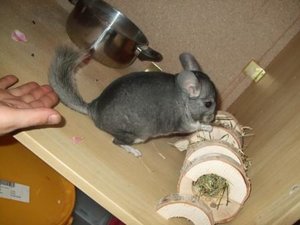 DSCF1671.jpg DSCF1671.jpg