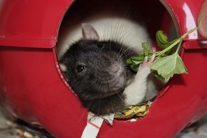 IMG_5383.JPG IMG_5383.JPG