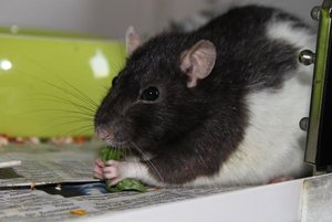 IMG_5393.JPG IMG_5393.JPG