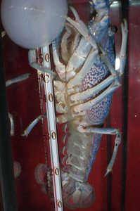 CIMG7045x (Kopie).JPG