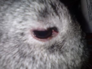 DSC00947 (640x480).jpg