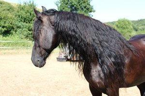 183699_194338393923294_100000414046577_618664_5256322_n.jpg 183699_194338393923294_100000414046577_618664_5256322_n.jpg