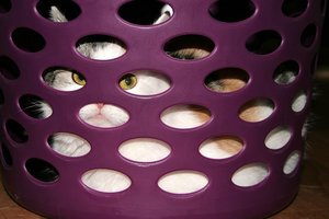 aIMG_3990 - Kopie (2).jpg