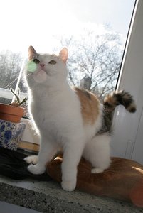 IMG_4275 - Kopie.JPG