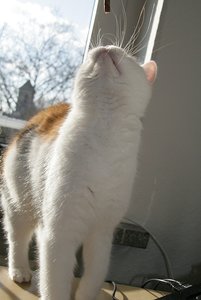 IMG_4277 - Kopie.JPG