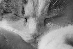 aIMG_4390 - Kopie.jpg