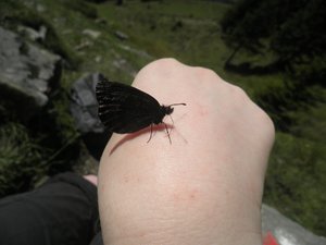 P8251054 - Kopie.JPG