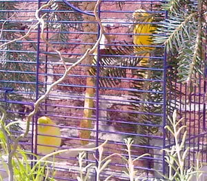 Foto-321.jpg Foto-321.jpg