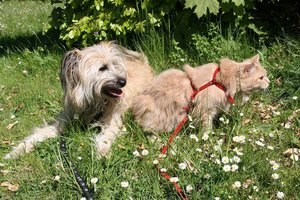 2012-03-23 Frühling 2.jpg