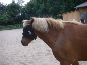 GEDC1683.jpg GEDC1683.jpg