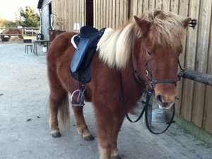 IMG_0373.jpg IMG_0373.jpg