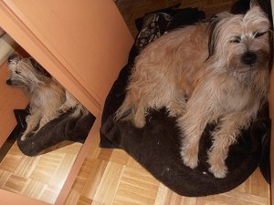 2012-03-24 Colmar Traumhaft.JPG