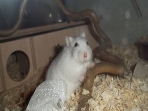 gh100_1866.JPG gh100_1866.JPG