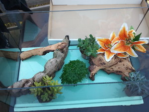 2012-03-28 17.17.37.jpg