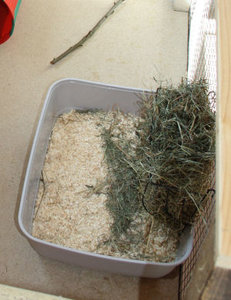 Unsere Nini- Toilette.jpg