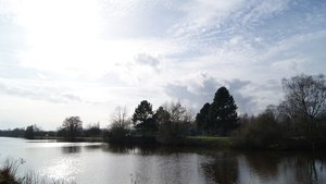 Kleiner 1.jpg Kleiner 1.jpg