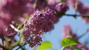 Kleiner 2.jpg Kleiner 2.jpg