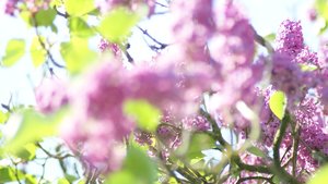 Kleiner 4.jpg Kleiner 4.jpg