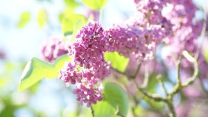 Kleiner 5.jpg Kleiner 5.jpg