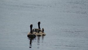 Kleiner 6.jpg Kleiner 6.jpg