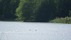 Kleiner 8.jpg Kleiner 8.jpg