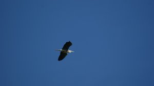 Kleiner 9.jpg Kleiner 9.jpg