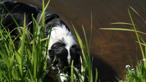 Kleiner 10.jpg Kleiner 10.jpg