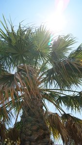 Kleiner 16.jpg Kleiner 16.jpg