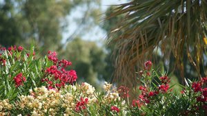 Kleiner 22.jpg Kleiner 22.jpg