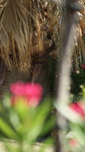 Kleiner 25.jpg Kleiner 25.jpg