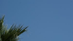 Kleiner 28.jpg Kleiner 28.jpg