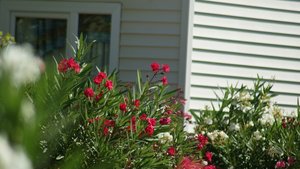 Kleiner 32.jpg Kleiner 32.jpg