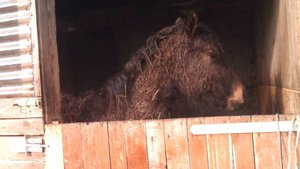 1332833382624.jpg 1332833382624.jpg