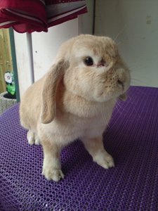 DSC00977 (480x640).jpg