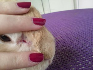 DSC00974 (640x480).jpg