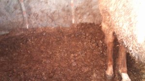 1332833534382.jpg 1332833534382.jpg